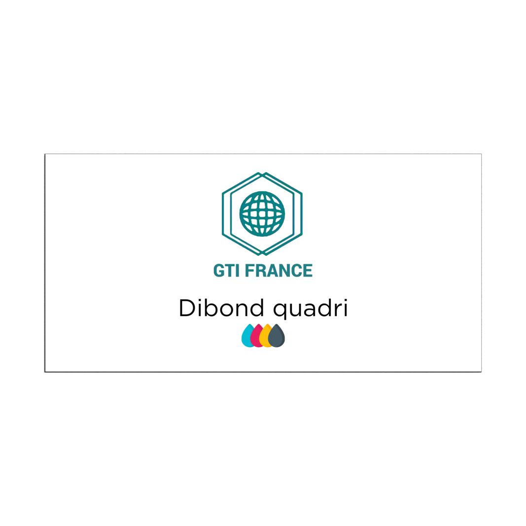 Dibond quadri 60 x 30 cm